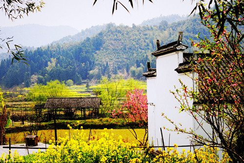 【標準】匡廬奇秀廬山、婺源（篁嶺）、黃山、景德鎮、南昌雙高五天團